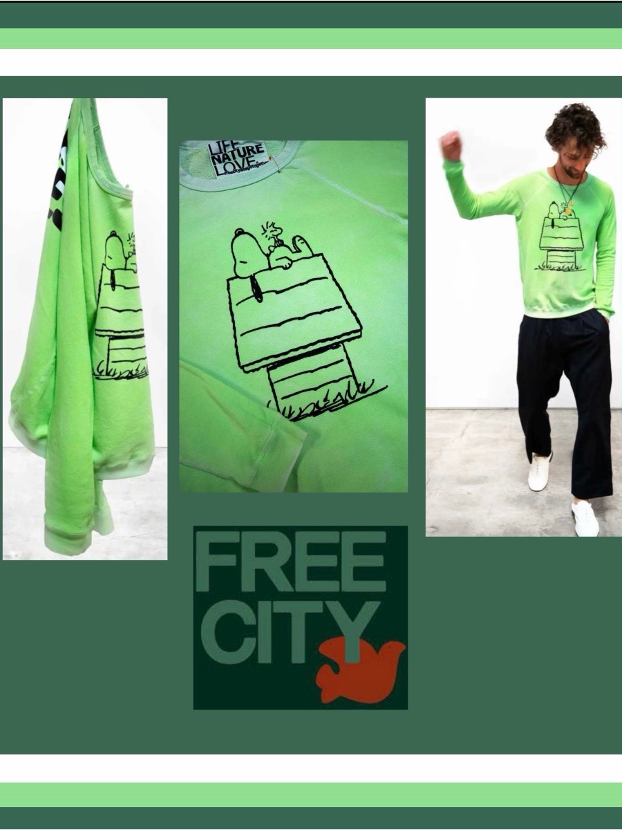 Nwot Rare Freecity Snoopy Basic Goodness House Raglan In Mintbath Sz Xs